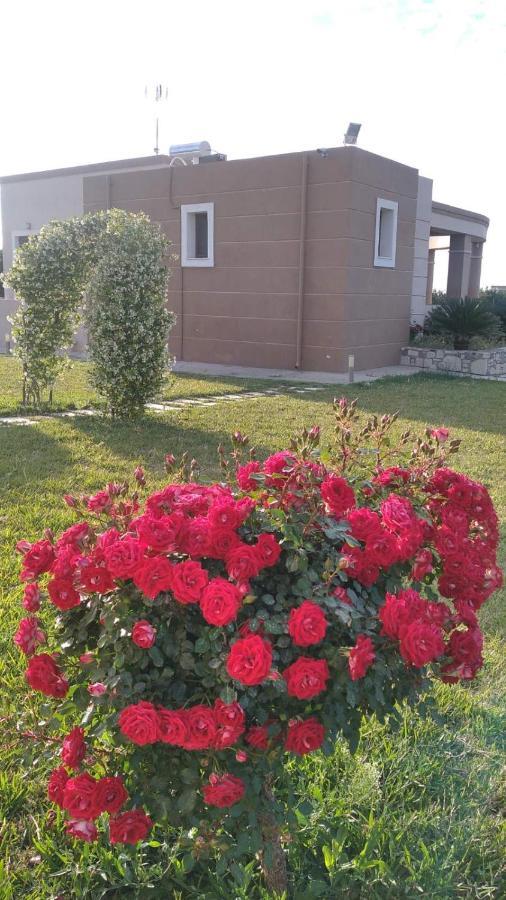 Kos Villa - Family Comfort With Large Garden, Jacuzzi Kültér fotó